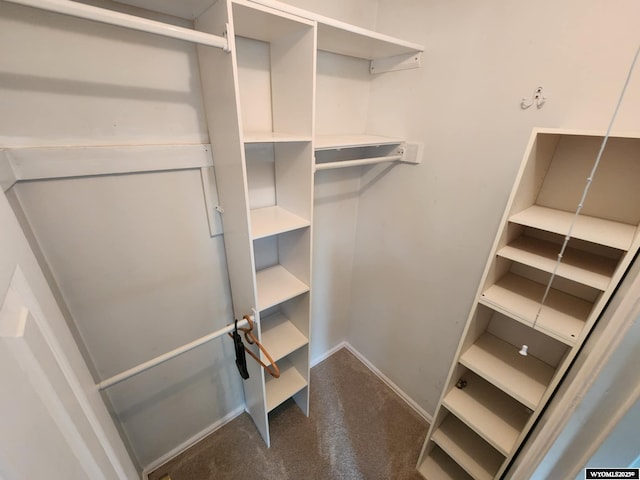 view of walk in closet