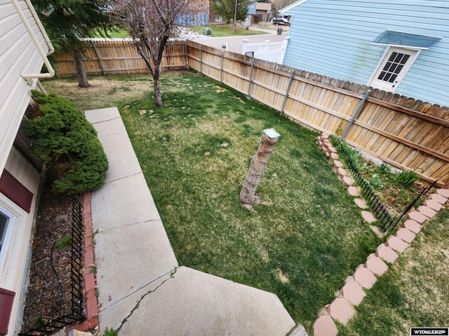 view of yard with a fenced backyard