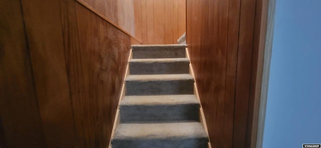 staircase with wooden walls