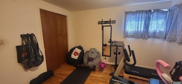 workout area featuring wood finished floors