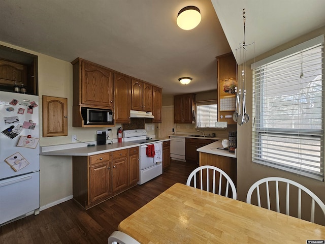 kitchen featuring a sink, light countertops, dark wood-style floors, under cabinet range hood, and white appliances