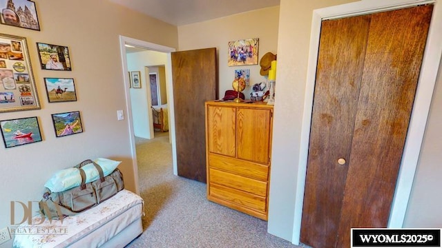 hallway with carpet floors
