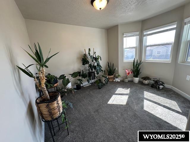 109 Chardonnay, Rock Springs, WY 82901 - misc room with baseboards, carpet, and a textured ceiling