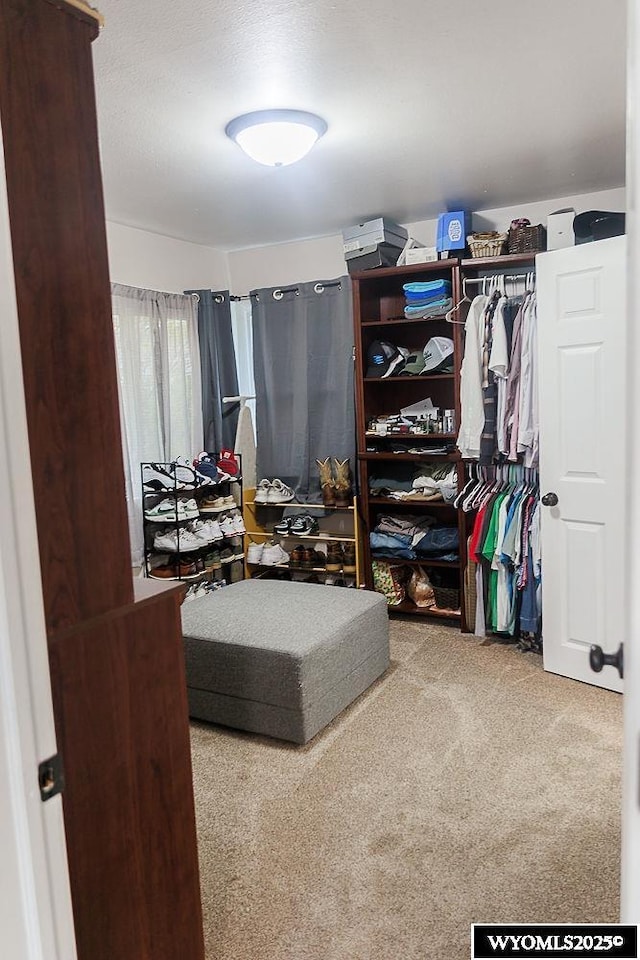 spacious closet featuring carpet flooring