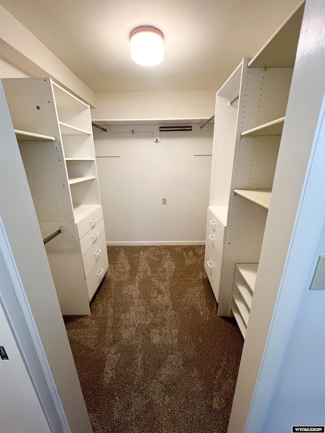 walk in closet featuring dark colored carpet