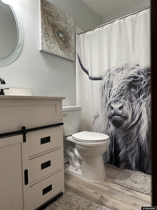 bathroom with vanity, toilet, wood finished floors, and a shower with shower curtain