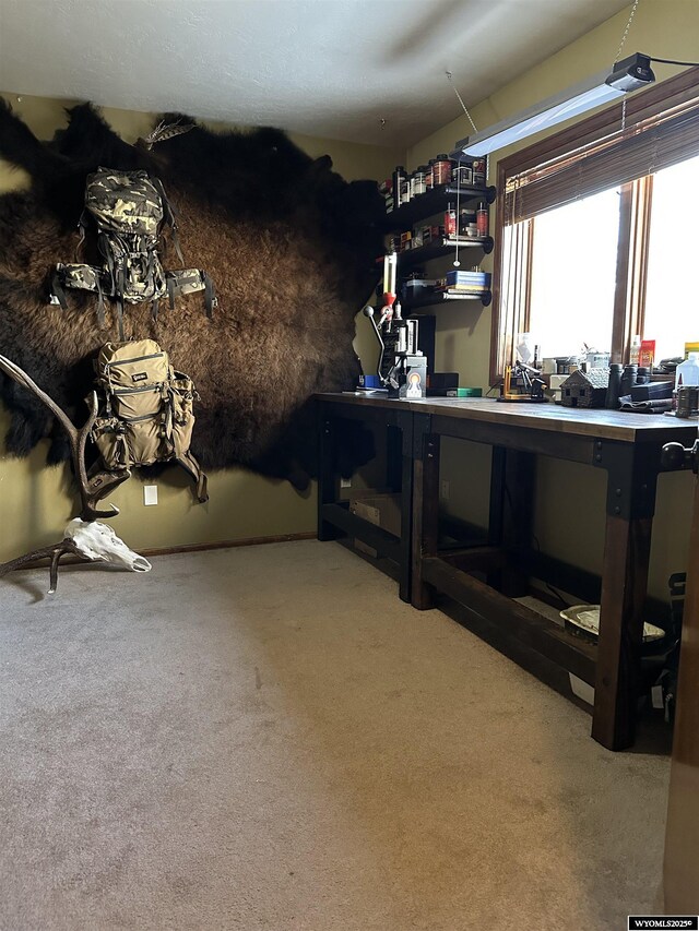 interior space featuring carpet floors and a workshop area