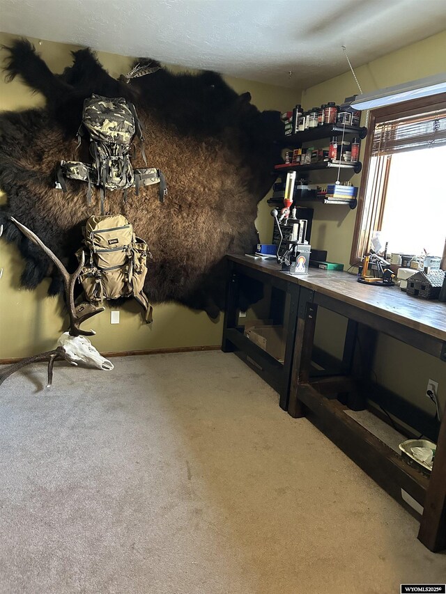 carpeted office featuring a workshop area