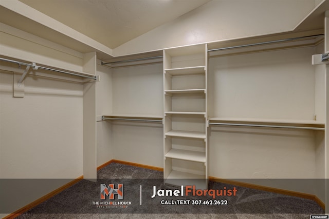walk in closet featuring carpet floors and lofted ceiling