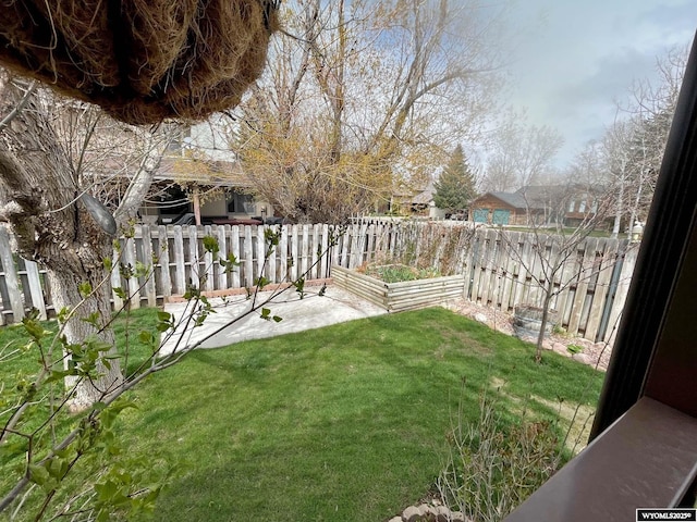 view of yard with a fenced backyard and a patio area