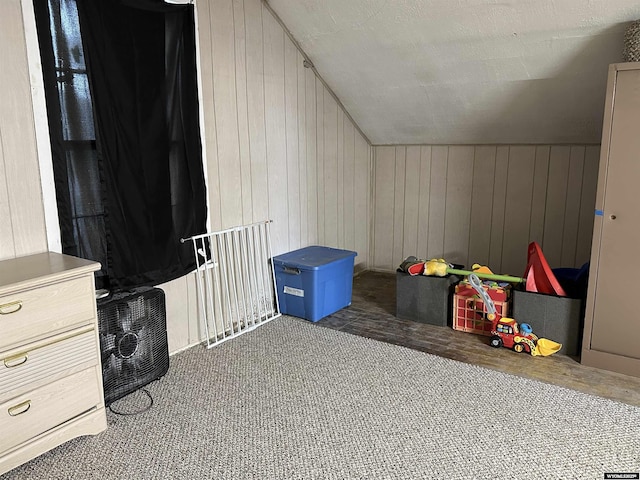 358 E 5th Ave, Torrington, WY 82240 - recreation room with wooden walls, carpet, and vaulted ceiling