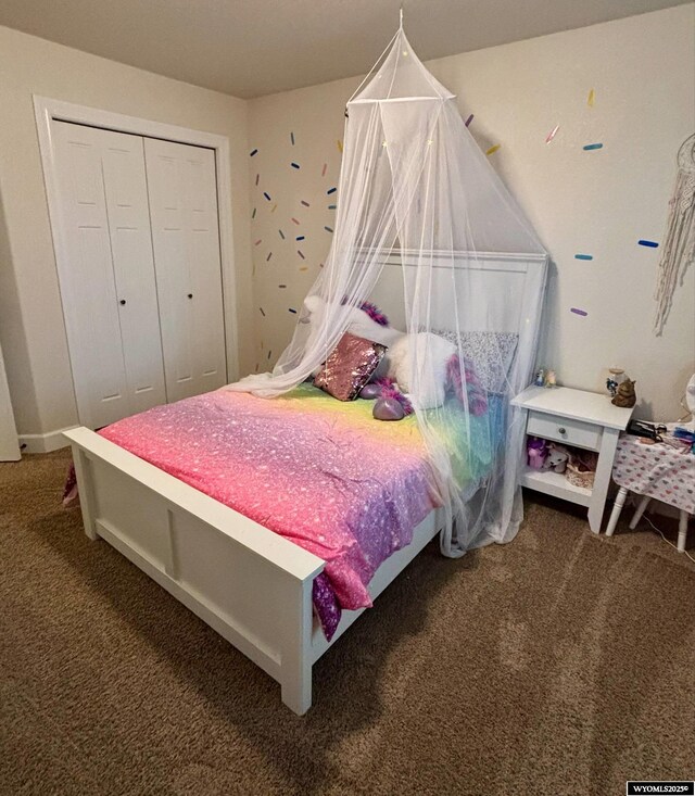999 Eagle Dr, Douglas, WY 82633 - bedroom featuring carpet flooring and a closet