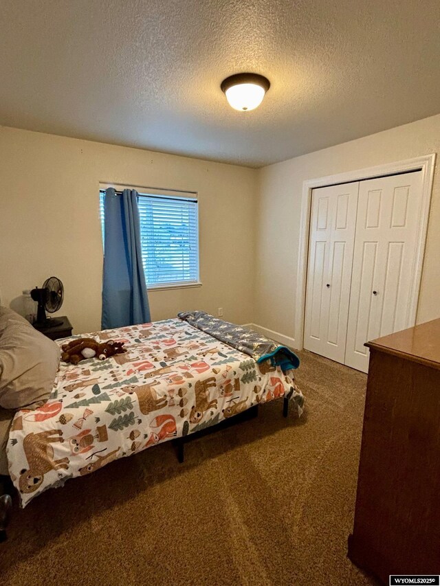999 Eagle Dr, Douglas, WY 82633 - bedroom with carpet, a textured ceiling, and a closet