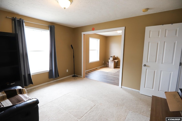 sitting room with baseboards, a textured ceiling, and light colored carpet