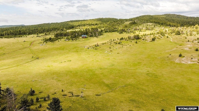 18 High Meadows Rd, Buffalo, WY 82834 - bird's eye view with a view of trees and a mountain view