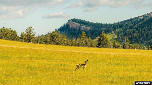18 High Meadows Rd, Buffalo, WY 82834 - view of mountain feature with a rural view and a forest view