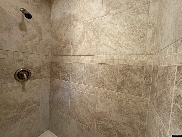 2327 Crestview Dr, Torrington, WY 82240 - interior details with tiled shower