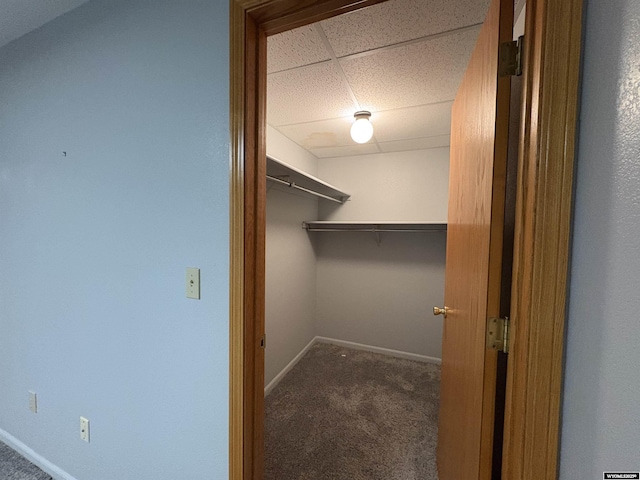 2327 Crestview Dr, Torrington, WY 82240 - spacious closet with carpet floors and a paneled ceiling