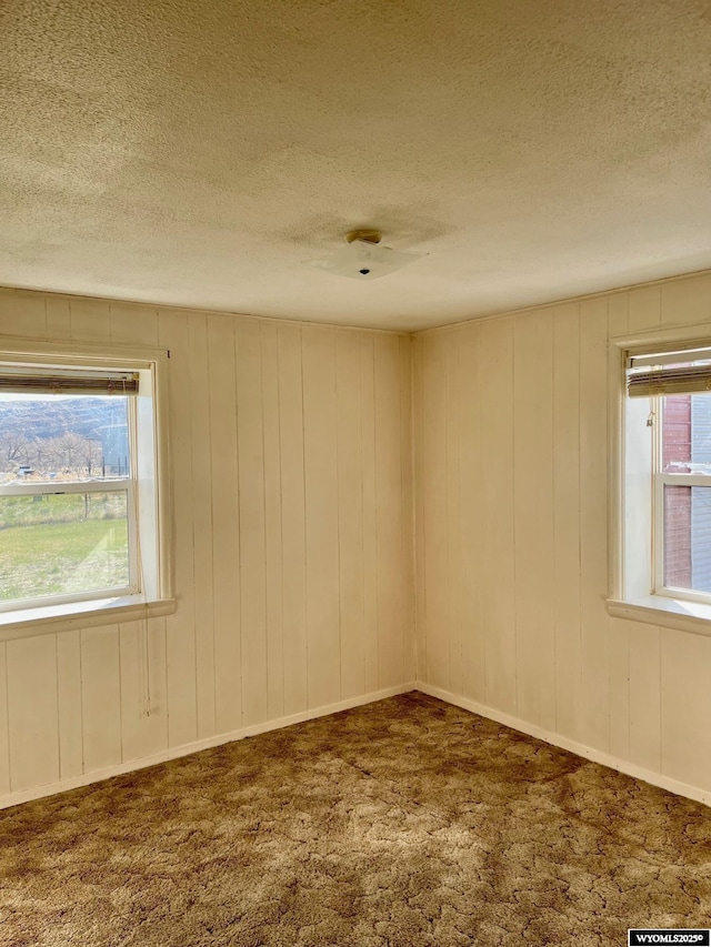 spare room with carpet floors and a textured ceiling