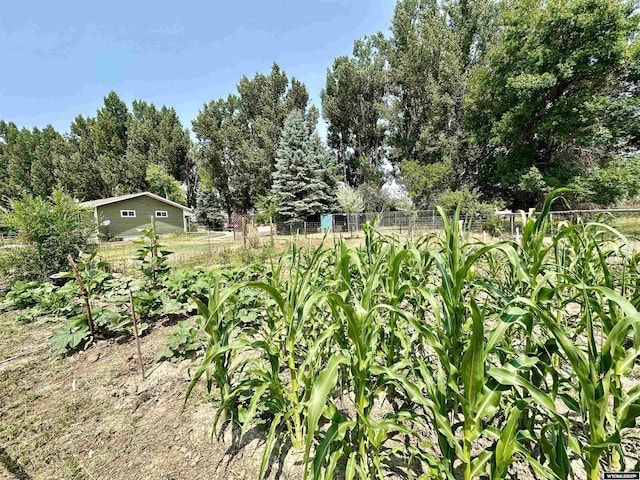 94 Grandview Ln, Riverton, WY 82501 - view of yard with fence and a vegetable garden