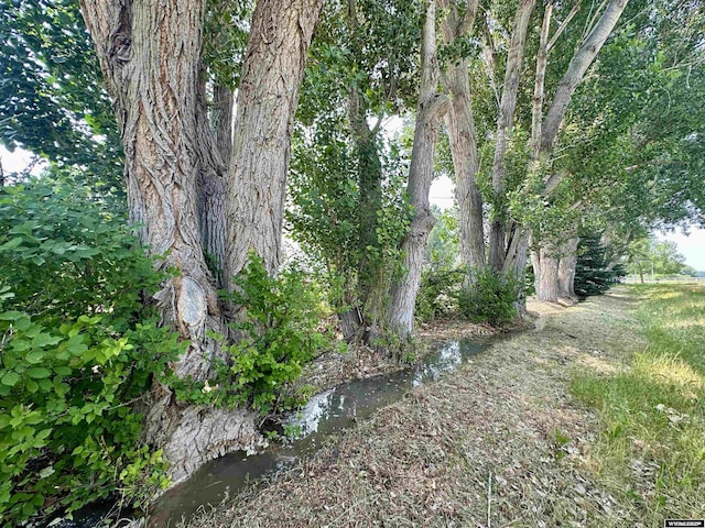 94 Grandview Ln, Riverton, WY 82501 - view of nature