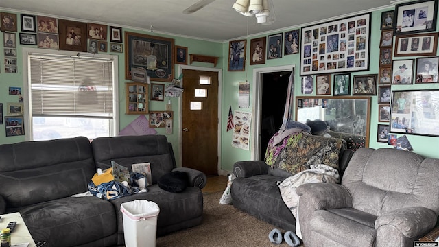 living area with crown molding, a ceiling fan, and carpet