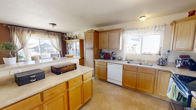 kitchen with white dishwasher, plenty of natural light, range with electric stovetop, and a sink