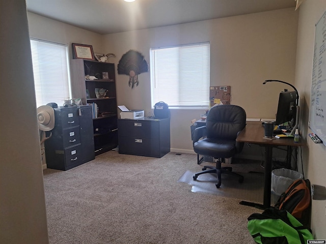 70B 27th St, Wheatland, WY 82201 - carpeted office space featuring a healthy amount of sunlight