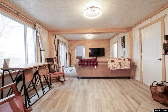 living room with light wood finished floors and wooden walls