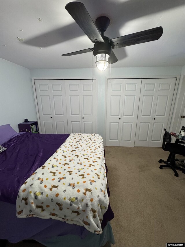 117 Sandstone Dr, Evanston, WY 82930 - carpeted bedroom with ceiling fan and two closets
