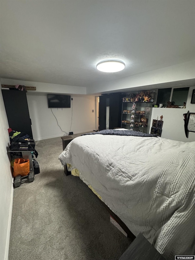 117 Sandstone Dr, Evanston, WY 82930 - view of carpeted bedroom