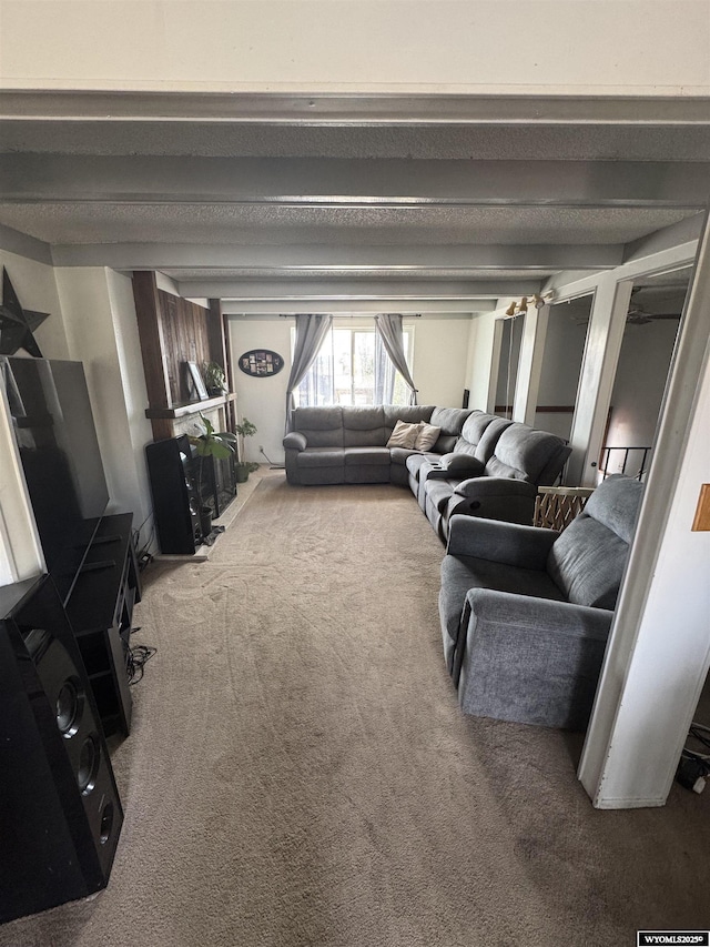 117 Sandstone Dr, Evanston, WY 82930 - view of carpeted living area