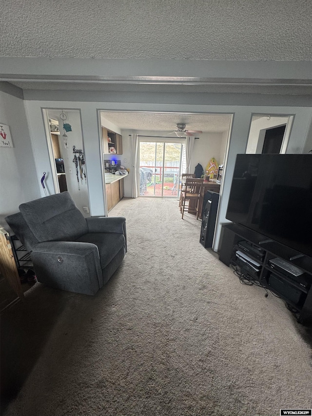 117 Sandstone Dr, Evanston, WY 82930 - living room with a textured ceiling and carpet floors