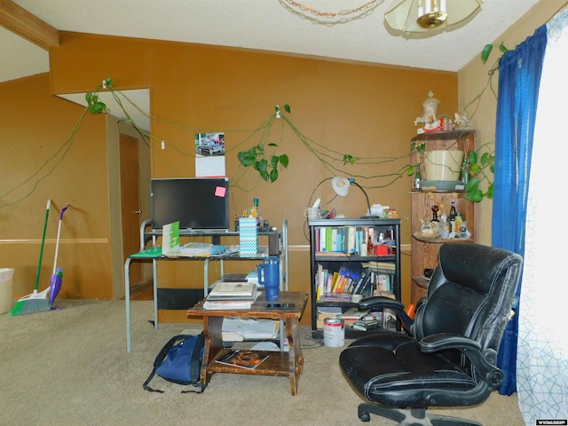 479 Hoskins Ln, Rock Springs, WY 82901 - view of carpeted home office