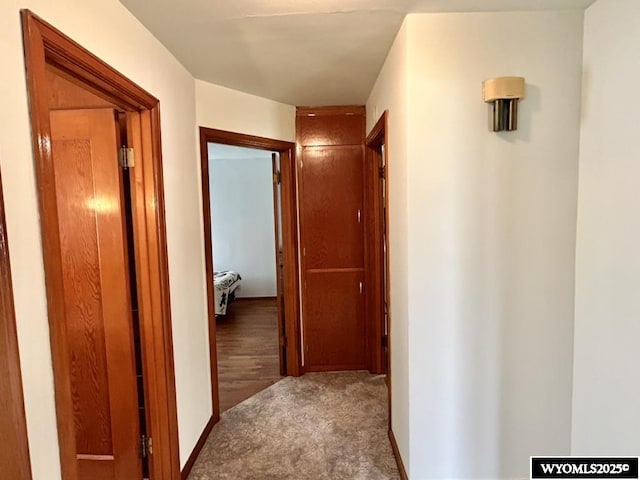 corridor with carpet floors