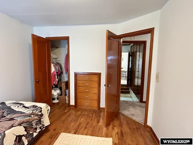 bedroom featuring light wood-type flooring, a closet, baseboards, and a spacious closet