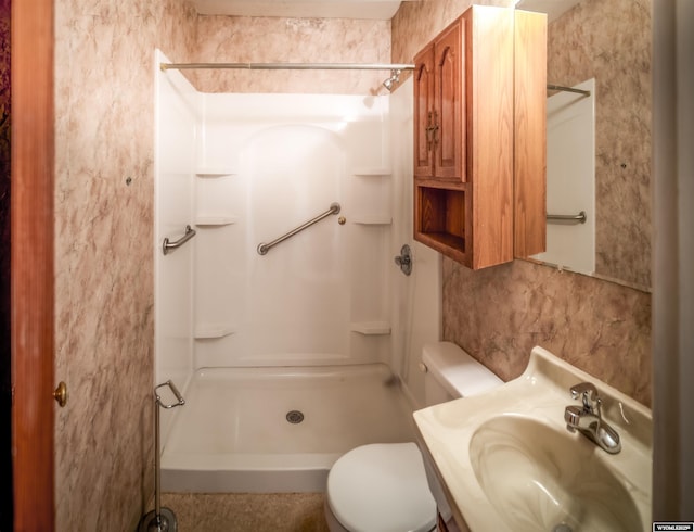bathroom with a shower, toilet, and vanity