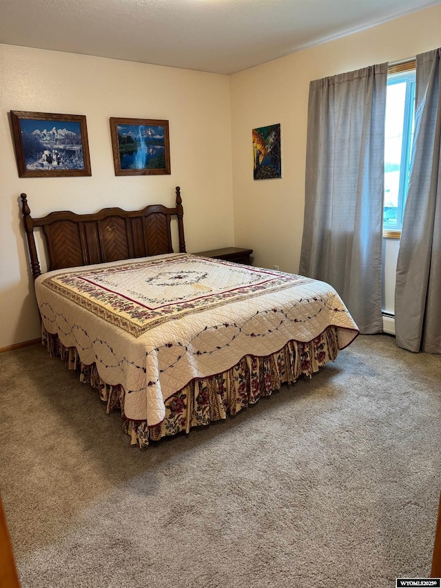 191 Lester Dr, Rock Springs, WY 82901 - bedroom featuring carpet and a baseboard heating unit