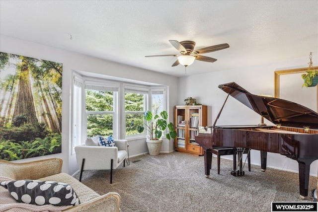 147 Apache Dr, Evanston, WY 82930 - living area with carpet floors, a ceiling fan, and a textured ceiling