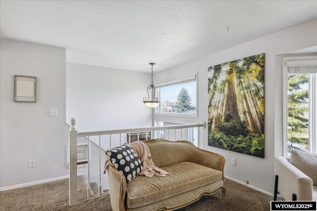147 Apache Dr, Evanston, WY 82930 - sitting room with carpet, baseboards, a textured ceiling, and an upstairs landing