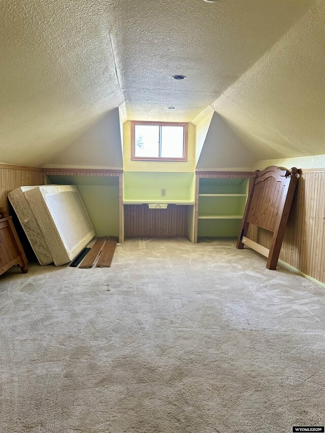 618 Emerald St, Kemmerer, WY 83101 - bonus room featuring a textured ceiling, carpet flooring, lofted ceiling, and wooden walls