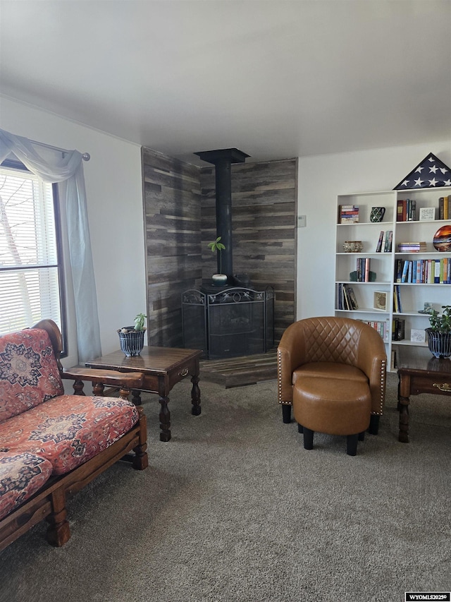 716 E 3rd St, Marbleton, WY 83113 - living room with carpet floors and a wood stove