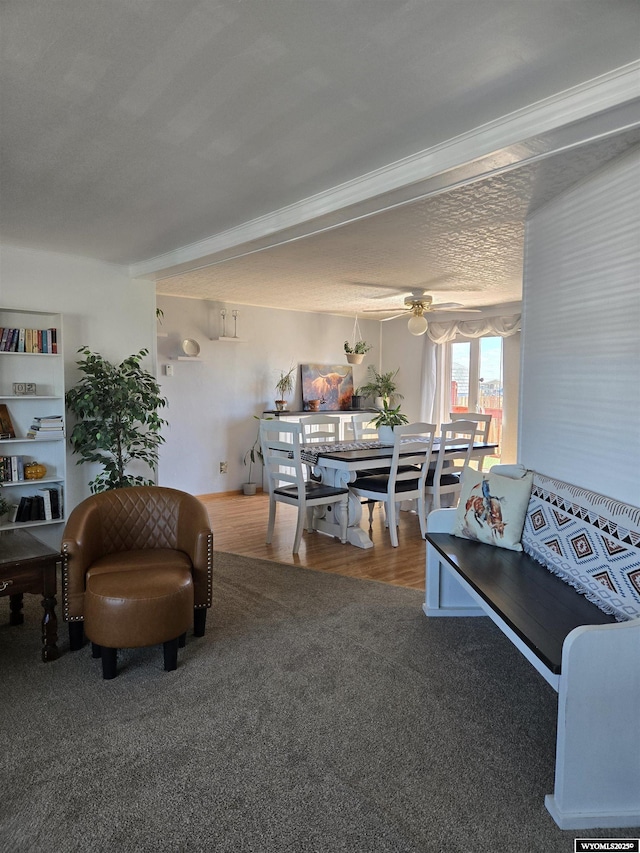 716 E 3rd St, Marbleton, WY 83113 - carpeted living area featuring a ceiling fan