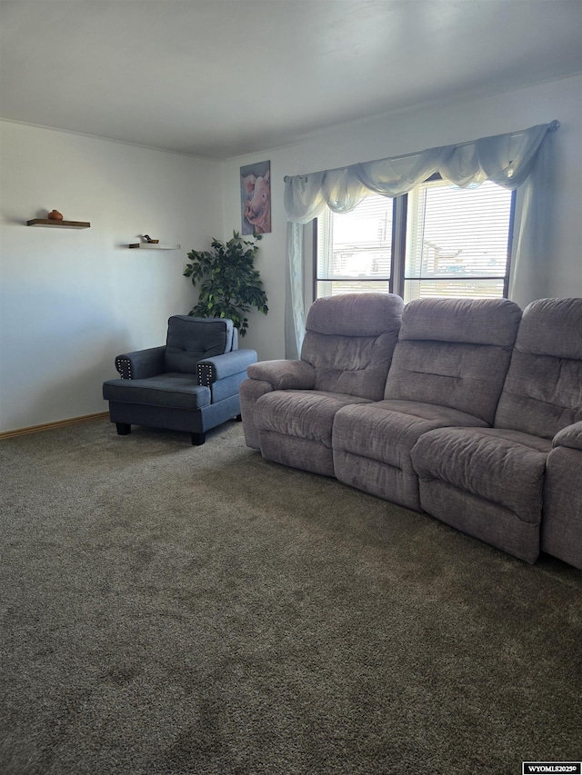 716 E 3rd St, Marbleton, WY 83113 - living room with carpet flooring
