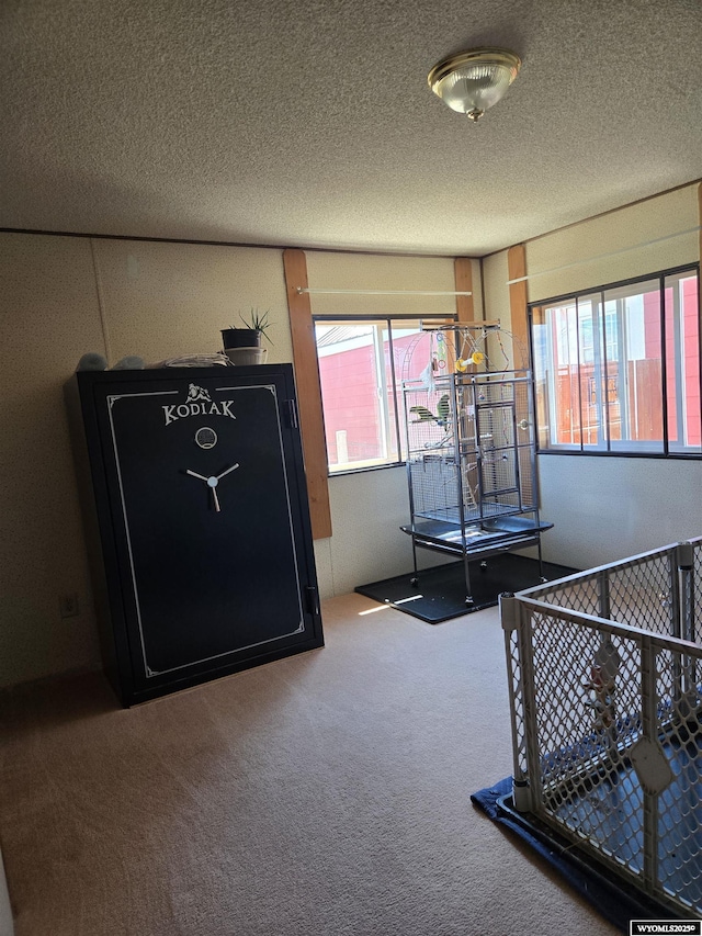 716 E 3rd St, Marbleton, WY 83113 - rec room featuring carpet flooring and a textured ceiling