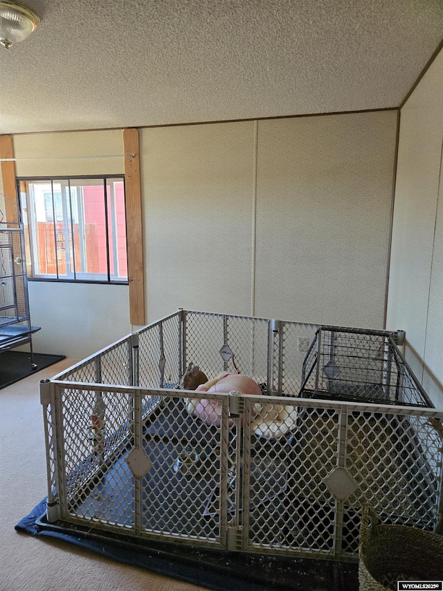 716 E 3rd St, Marbleton, WY 83113 - staircase with carpet and a textured ceiling