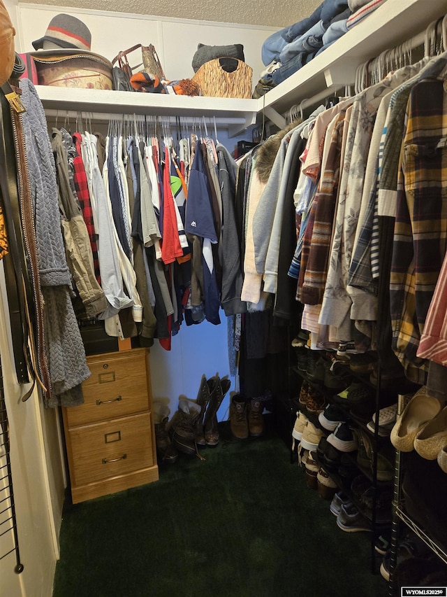 716 E 3rd St, Marbleton, WY 83113 - spacious closet featuring carpet flooring