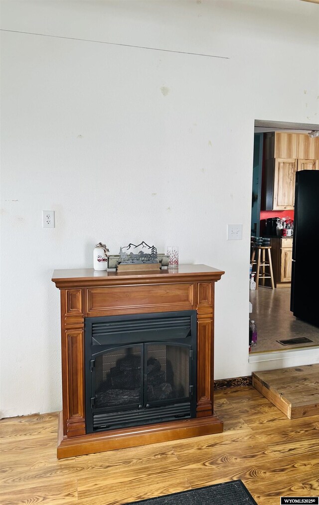 65 Eagle Ln, Lyman, WY 82937 - detailed view of freestanding refrigerator, a glass covered fireplace, and wood finished floors