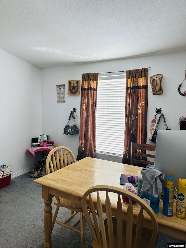 65 Eagle Ln, Lyman, WY 82937 - view of carpeted dining area