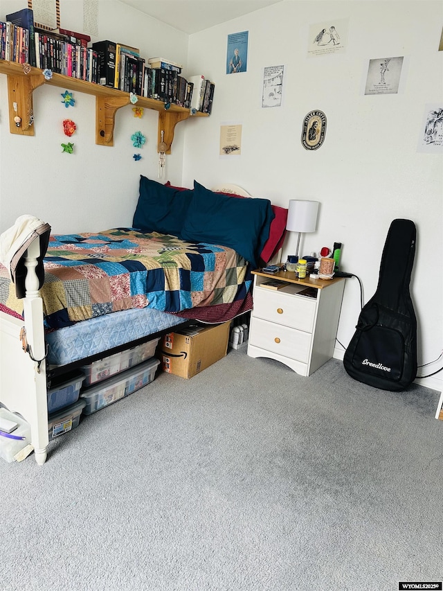 65 Eagle Ln, Lyman, WY 82937 - view of carpeted bedroom